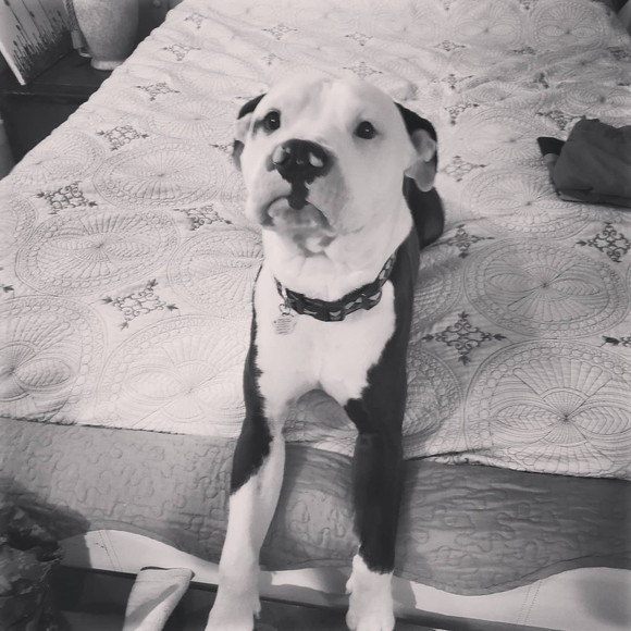 Meet your Posher, Rob - Picture 1 of 1